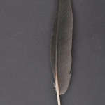storkfaglar-bronsibris-1